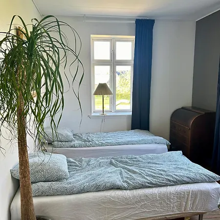 农家乐 Bogebjerggards Gardbutik 阿森斯